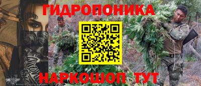 трава Аргун