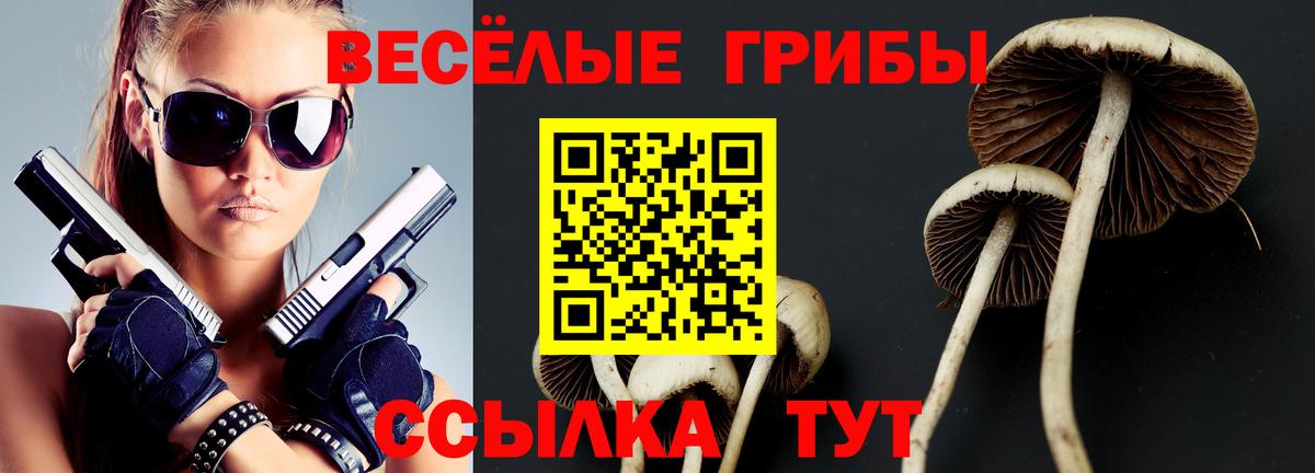 Воскресенск  Галлюциногенные грибы мухоморы  Вход с VPN 